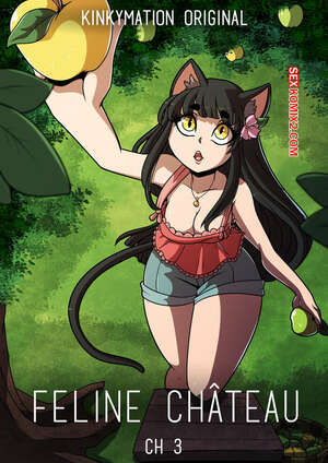 Comic porno FELINE Chateau. Parte 3. Kinkymation. Comic porno FELINE Chateau. Parte 3. Kinkymation.