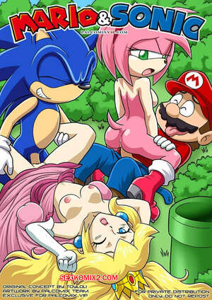 Comic porno MARIO and SONIC. Palcomix.