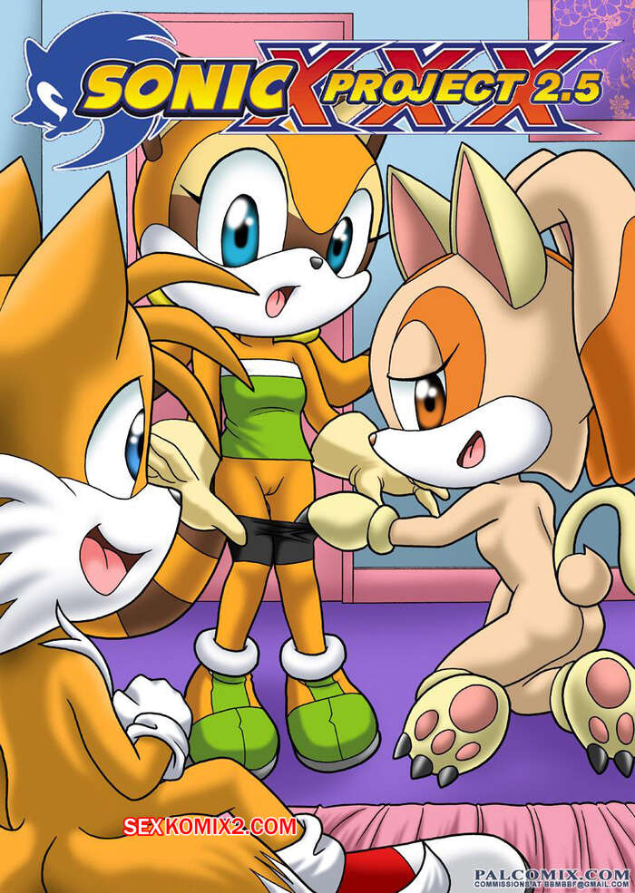 Comic porno Proyecto SONIC. Parte 2.5. Palcomix.